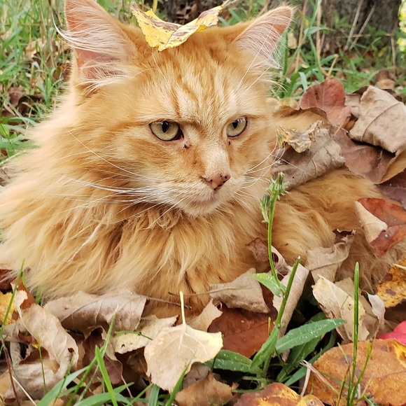 Meet your Posher, Stephanie - Picture 9 of 10